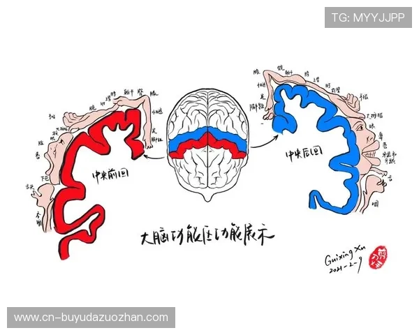 曲棍球锻炼大脑反应与身体协调,香港设老年组别 曲棍球锻炼大脑反应与身体协调,香港设老年组别